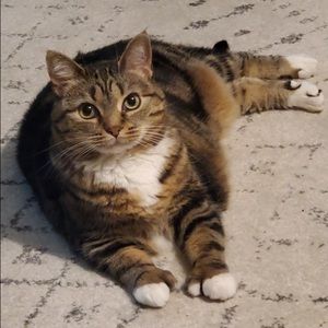 Meet your Posher, Juliana